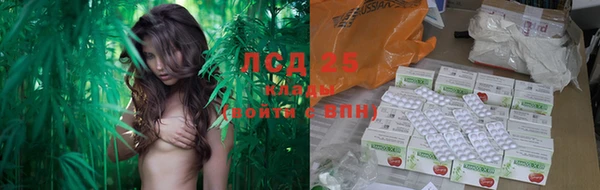 шишки Армянск