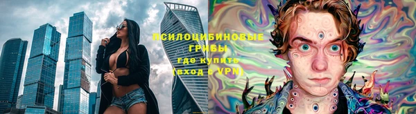 эйфоретик Арсеньев