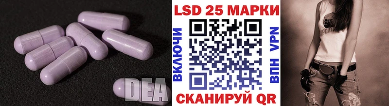 что такое   Судак  LSD-25 экстази кислота 