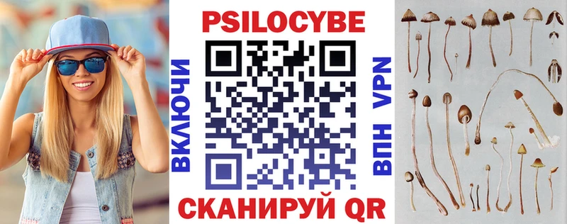 Псилоцибиновые грибы прущие грибы  Судак 